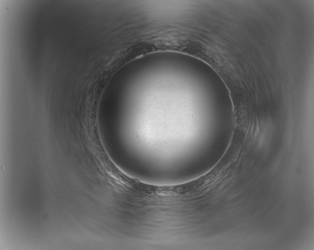 X0000073831297200608101153