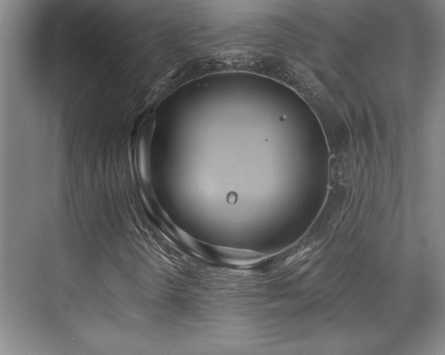 X0000073831298200608101153