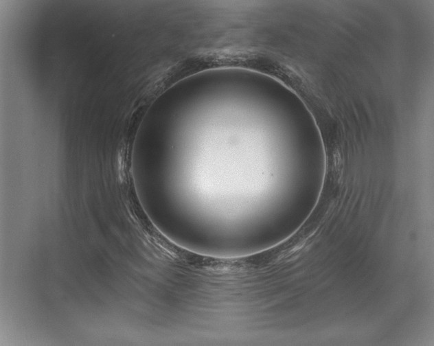 X0000073831300200608101153