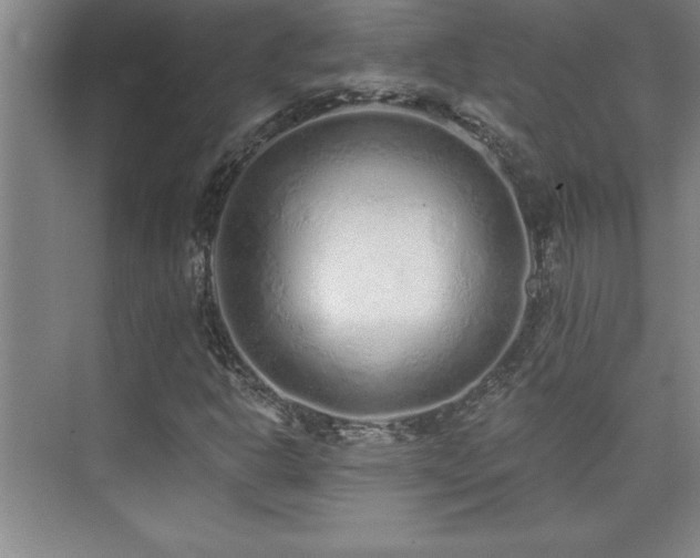 X0000073831302200608101153