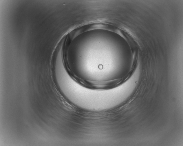 X0000073831308200608101153