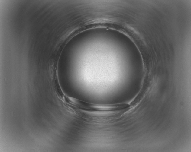 X0000073831313200608101153