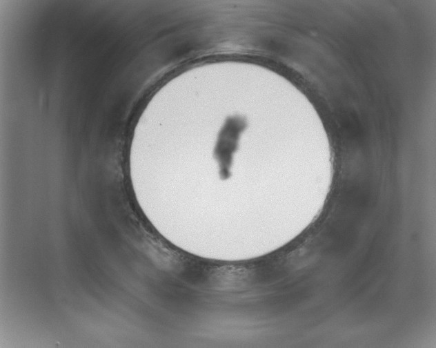 X0000073831314200608101153