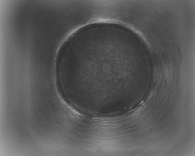 X0000073831319200608101153