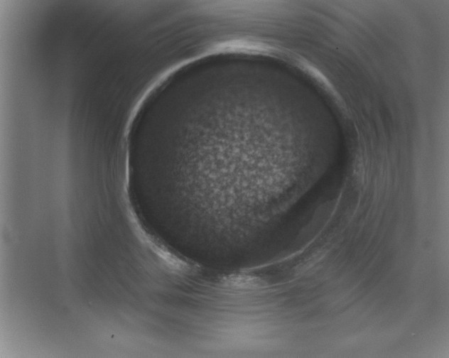 X0000073831323200608101153