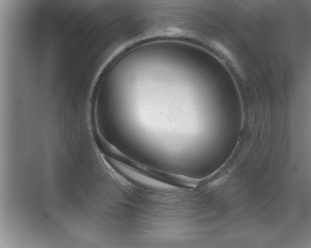 X0000073831326200608101153