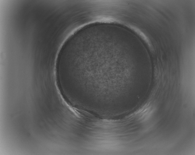 X0000073831327200608101153