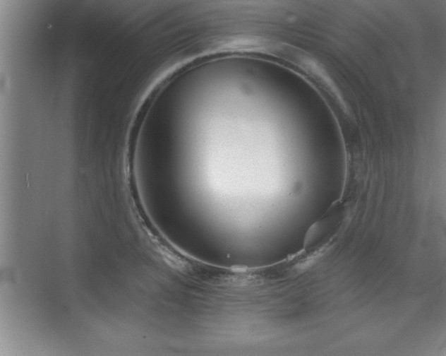 X0000073831328200608101153