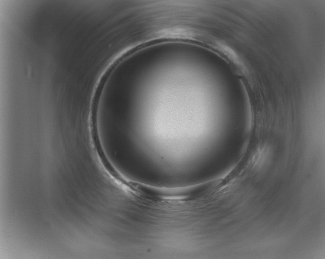 X0000073831331200608101153