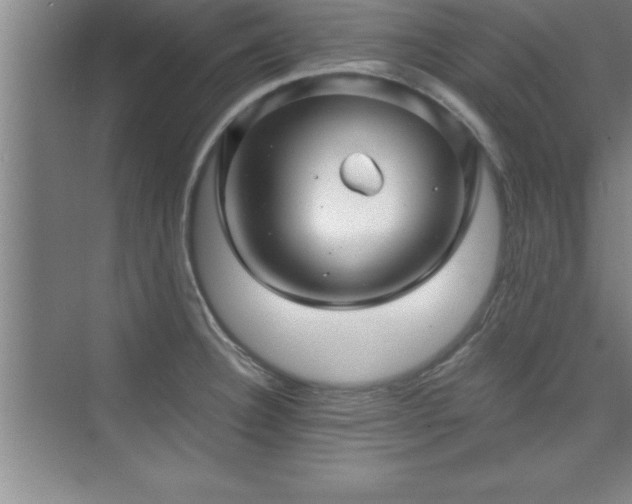 X0000073831332200608101153