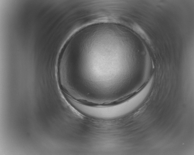 X0000073831334200608101153