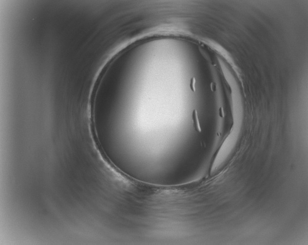 X0000073831335200608101153