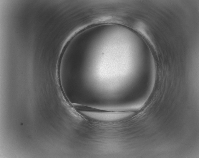 X0000073831336200608101153