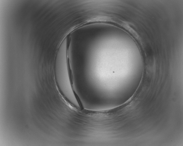 X0000073831337200608101153