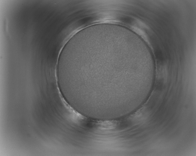 X0000073831338200608101153