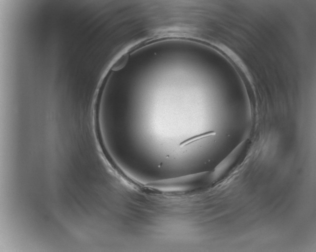 X0000073831341200608101153