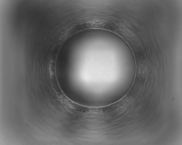 X0000073831346200608101153