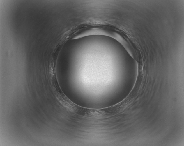 X0000073831348200608101153