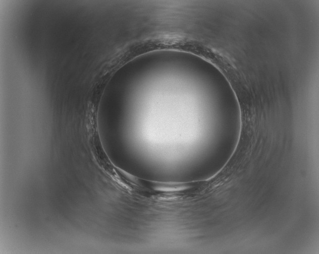 X0000073831349200608101153