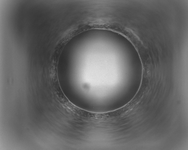 X0000073831350200608101152