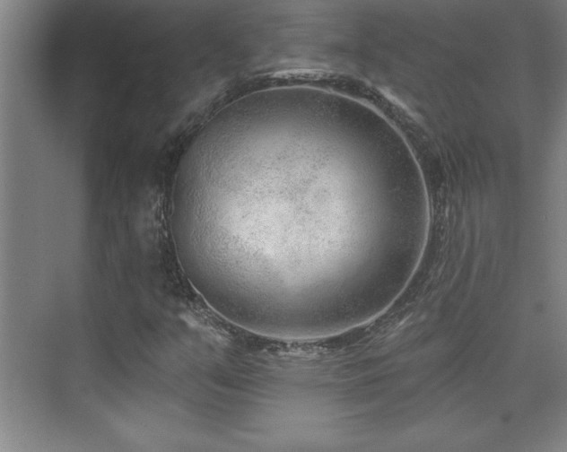 X0000073831351200608101152