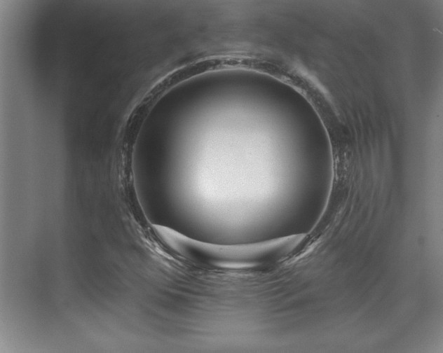 X0000073831352200608101152