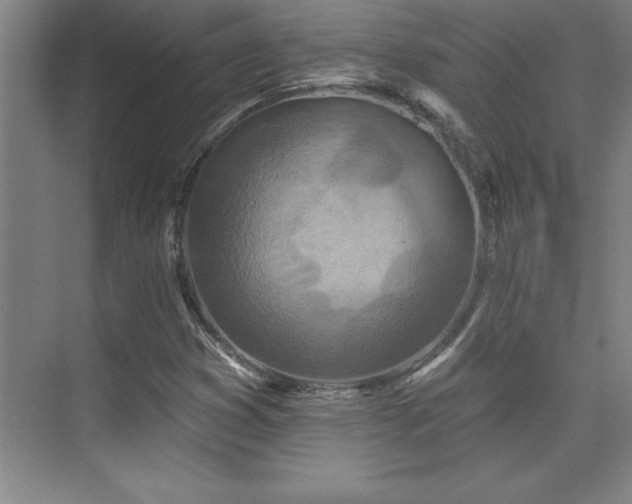 X0000073831353200608101152