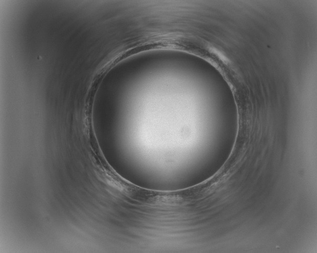 X0000073831354200608101152