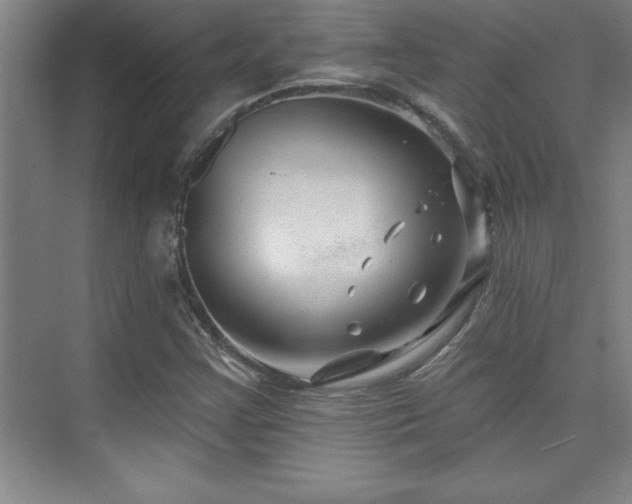 X0000073831355200608101152