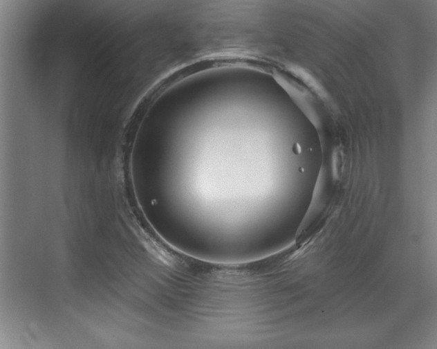 X0000073831356200608101152