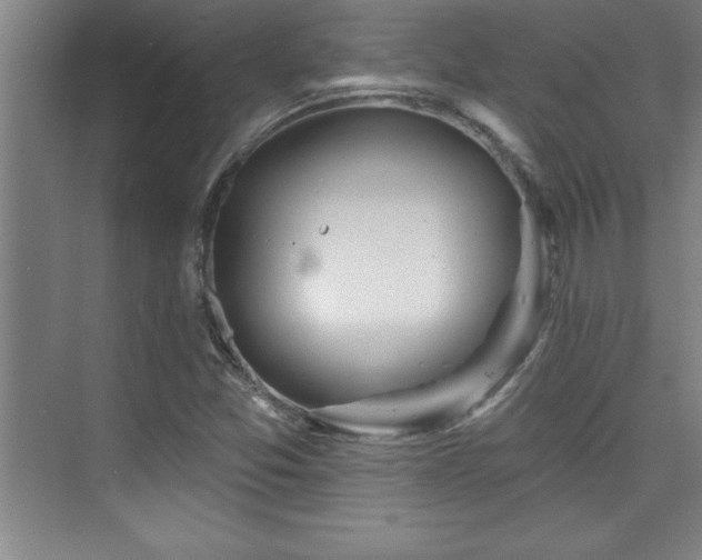 X0000073831357200608101152