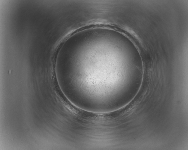 X0000073831359200608101152