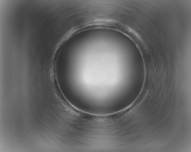 X0000073831362200608101152