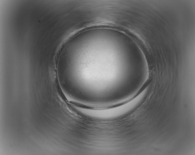 X0000073831363200608101152