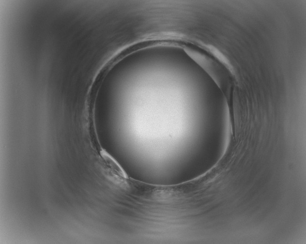 X0000073831364200608101152