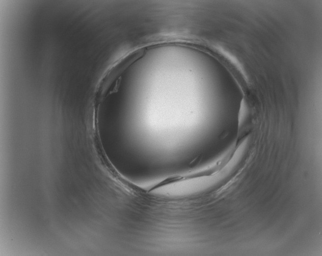 X0000073831365200608101152