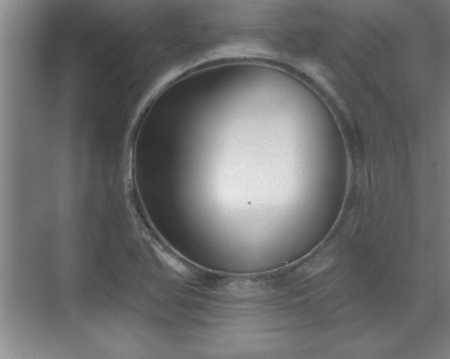 X0000073831366200608101152