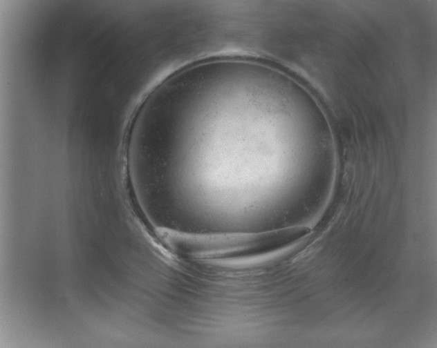 X0000073831367200608101152