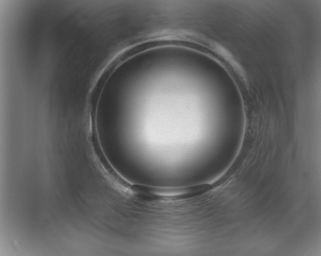 X0000073831368200608101152