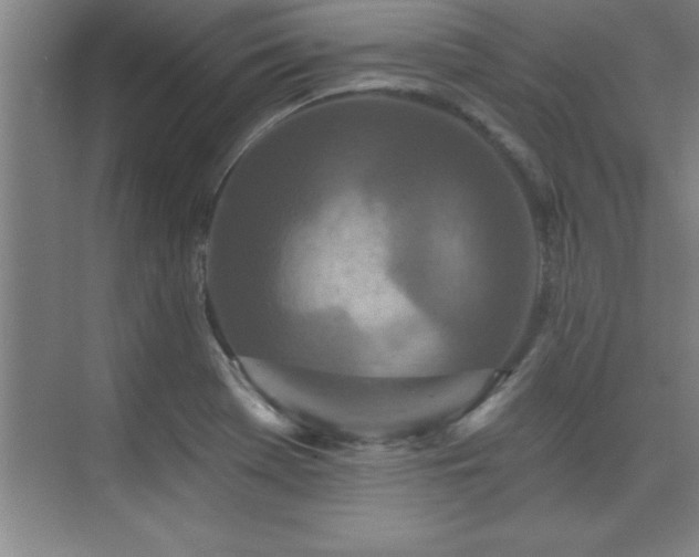 X0000073831369200608101152