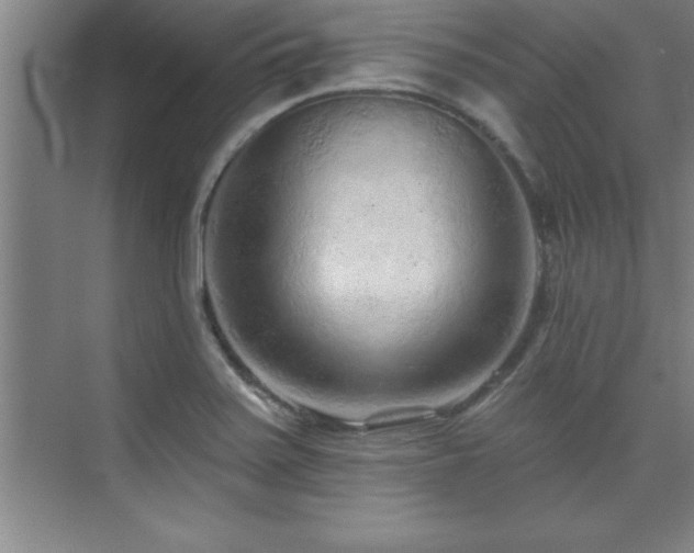 X0000073831371200608101152