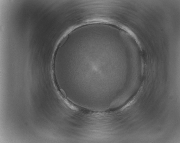 X0000073831373200608101152