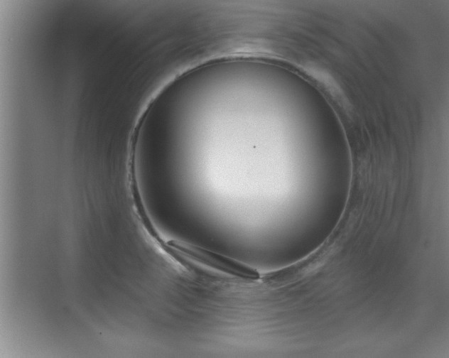 X0000073831374200608101152