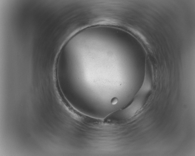 X0000073831375200608101152