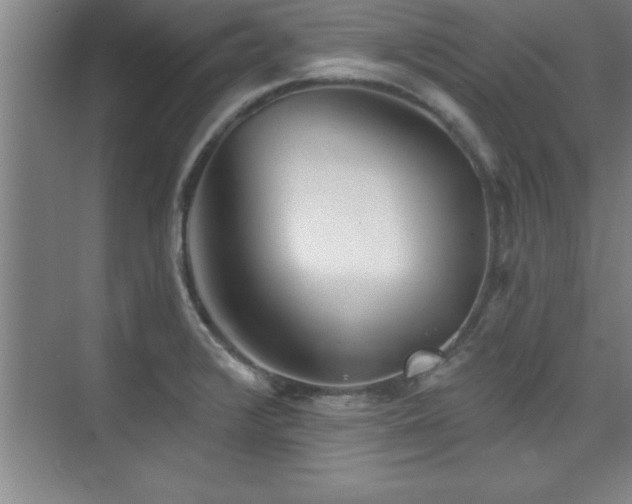 X0000073831376200608101152