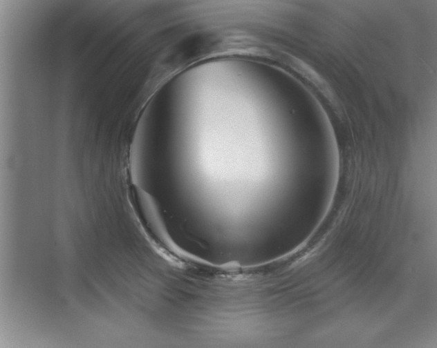 X0000073831377200608101152