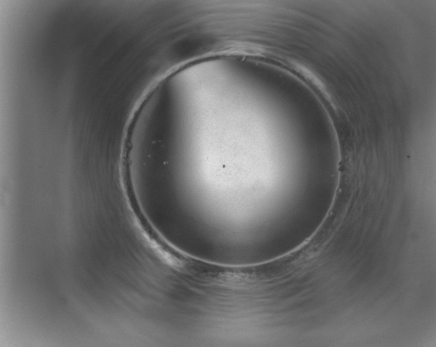 X0000073831379200608101152