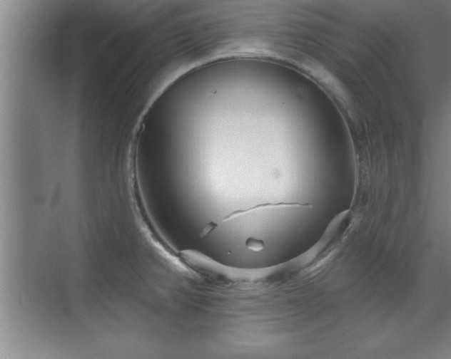 X0000073831382200608101152