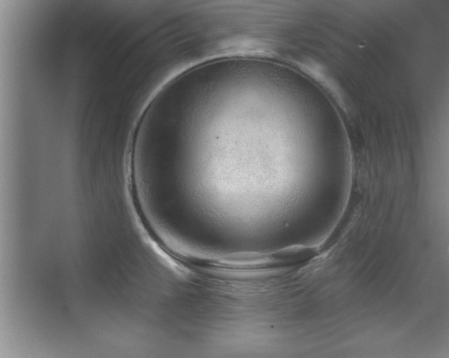 X0000073831383200608101152