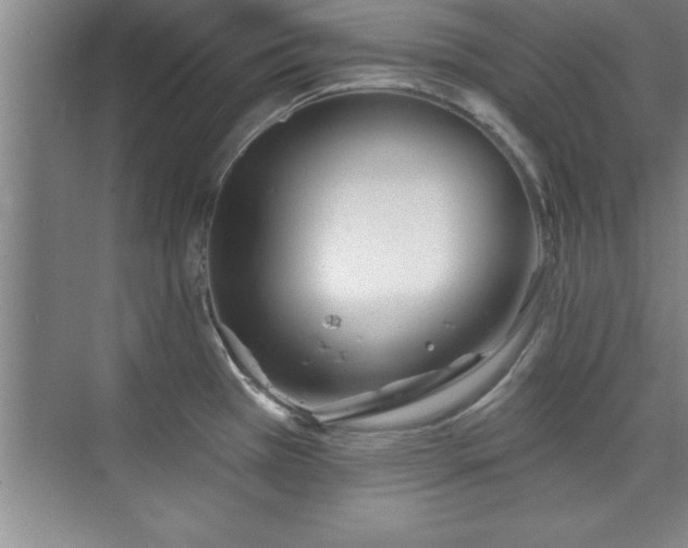 X0000073831385200608101152